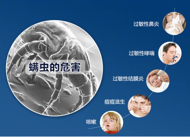 螨蟲的危害 螨蟲的危害